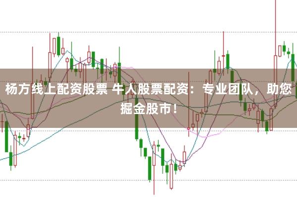 杨方线上配资股票 牛人股票配资：专业团队，助您掘金股市！