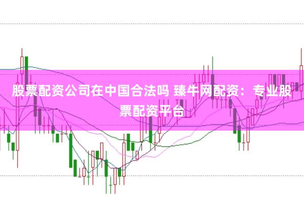 股票配资公司在中国合法吗 臻牛网配资：专业股票配资平台
