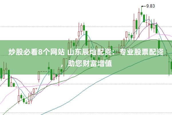 炒股必看8个网站 山东辰灿配资：专业股票配资，助您财富增值