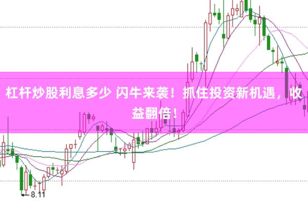杠杆炒股利息多少 闪牛来袭！抓住投资新机遇，收益翻倍！