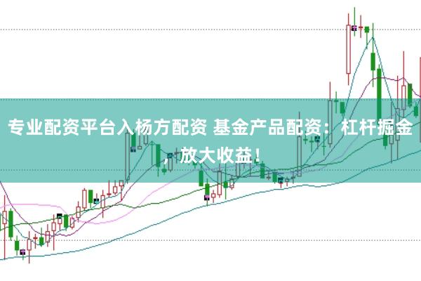 专业配资平台入杨方配资 基金产品配资：杠杆掘金，放大收益！