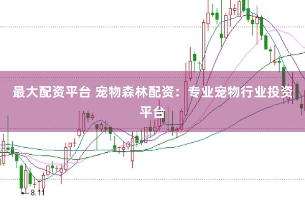 最大配资平台 宠物森林配资：专业宠物行业投资平台