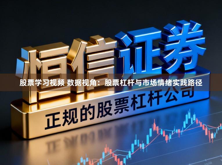 股票学习视频 数据视角：股票杠杆与市场情绪实践路径
