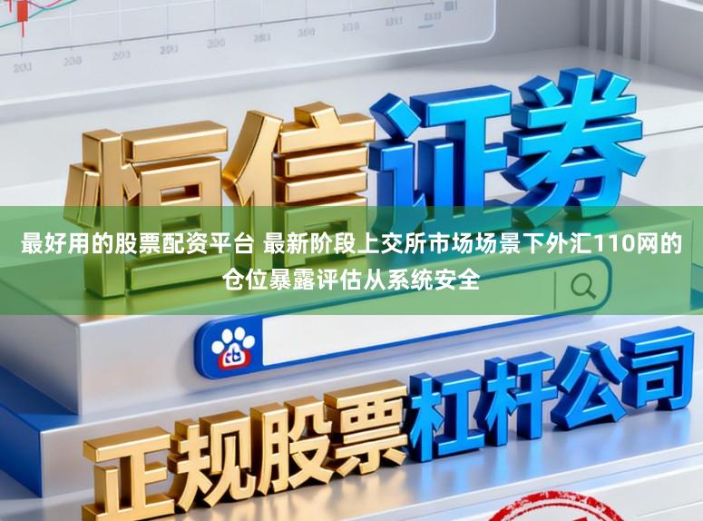 最好用的股票配资平台 最新阶段上交所市场场景下外汇110网的仓位暴露评估从系统安全