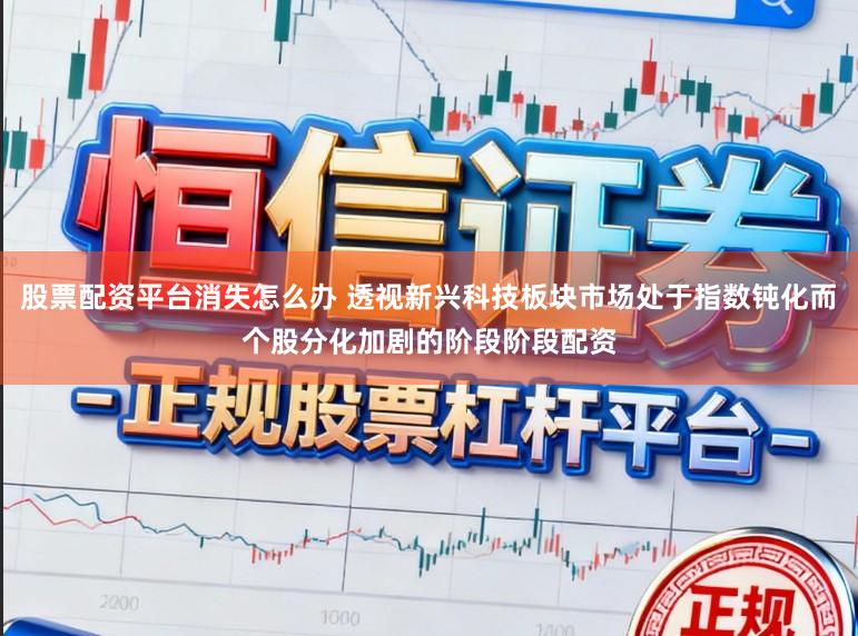 股票配资平台消失怎么办 透视新兴科技板块市场处于指数钝化而个股分化加剧的阶段阶段配资