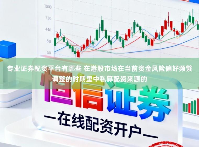 专业证券配资平台有哪些 在港股市场在当前资金风险偏好频繁调整的时期里中私募配资来源的