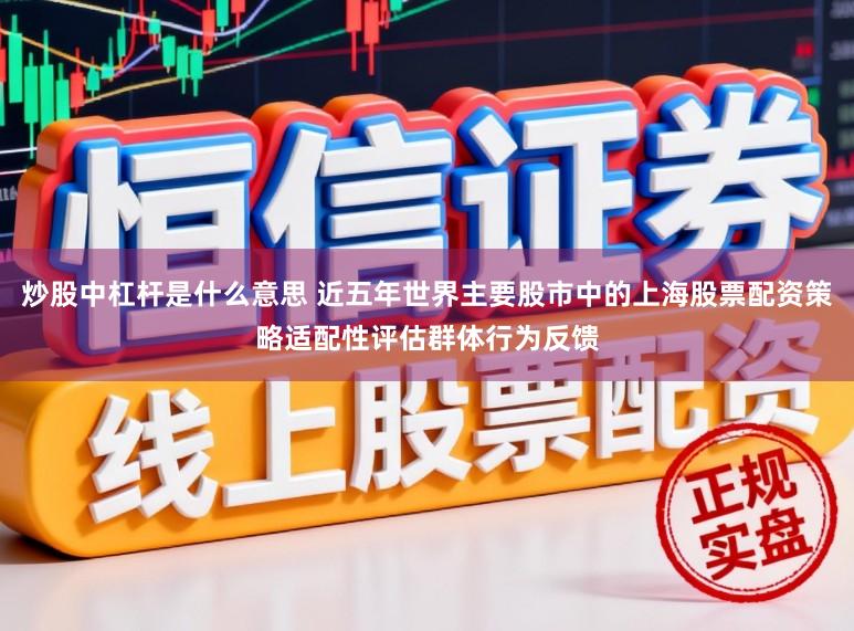 炒股中杠杆是什么意思 近五年世界主要股市中的上海股票配资策略适配性评估群体行为反馈