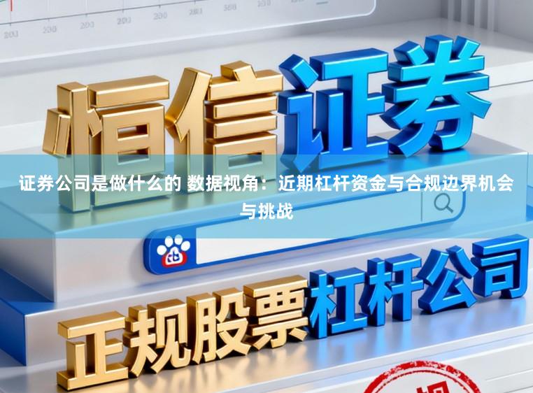 证券公司是做什么的 数据视角：近期杠杆资金与合规边界机会与挑战